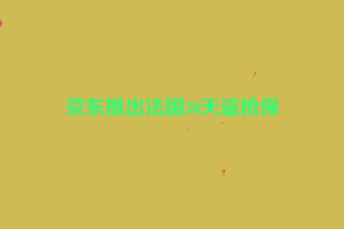 京东推出法国30天盗抢保