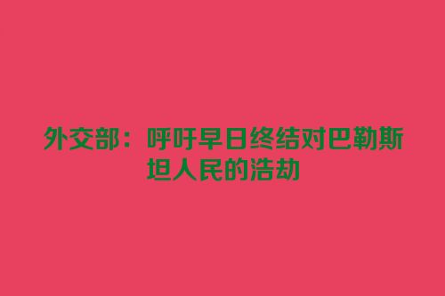 外交部：呼吁早日终结对巴勒斯坦人民的浩劫