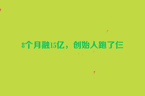 8个月融15亿，创始人跑了仨
