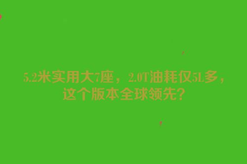5.2米实用大7座，2.0T油耗仅5L多，这个版本全球领先？