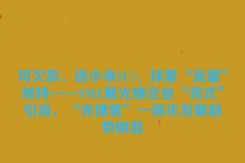 可欠款、送小米SU7、球星“流量”加持……SNEC展光储企业“花式”引流，“光储氢”一体化发展趋势明显