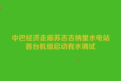 中巴经济走廊苏吉吉纳里水电站首台机组启动有水调试