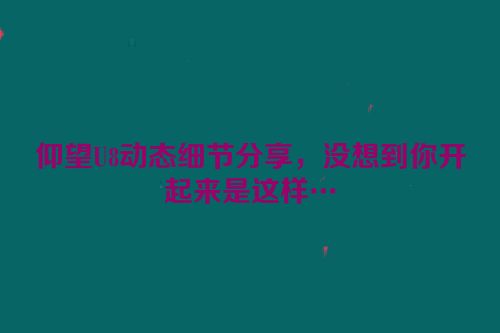 仰望U8动态细节分享，没想到你开起来是这样…