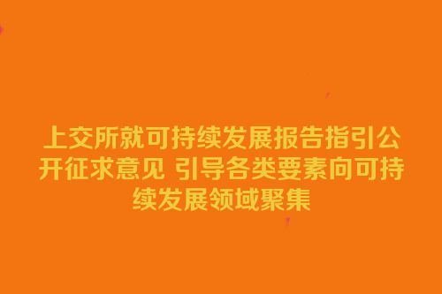 上交所就可持续发展报告指引公开征求意见 引导各类要素向可持续发展领域聚集