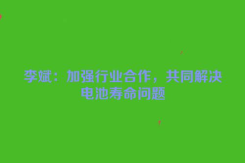 李斌：加强行业合作，共同解决电池寿命问题