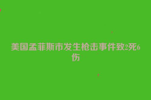 美国孟菲斯市发生枪击事件致2死6伤