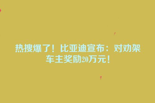 热搜爆了！比亚迪宣布：对劝架车主奖励20万元！