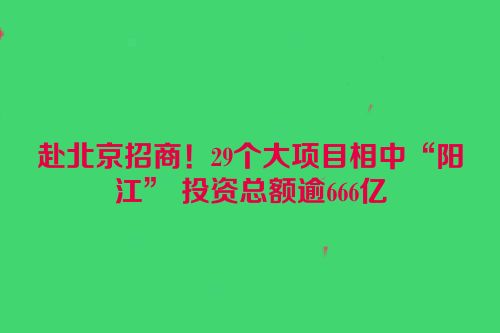 赴北京招商！29个大项目相中“阳江” 投资总额逾666亿