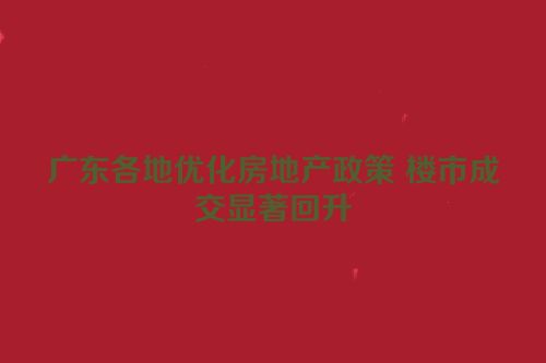广东各地优化房地产政策 楼市成交显著回升