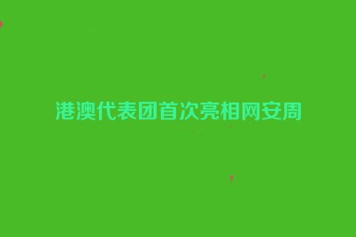 港澳代表团首次亮相网安周