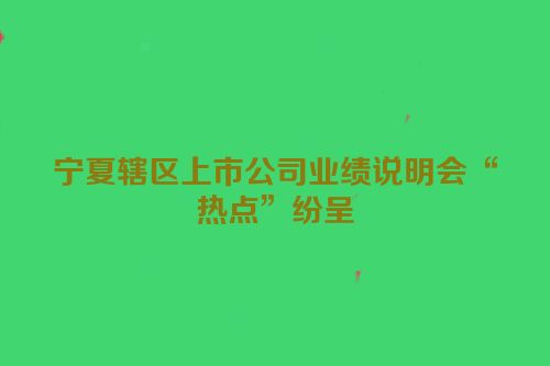 宁夏辖区上市公司业绩说明会“热点”纷呈