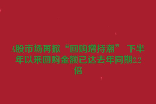 A股市场再掀“回购增持潮” 下半年以来回购金额已达去年同期2.2倍