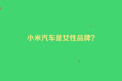 小米汽车是女性品牌？