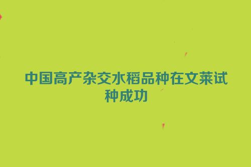 中国高产杂交水稻品种在文莱试种成功