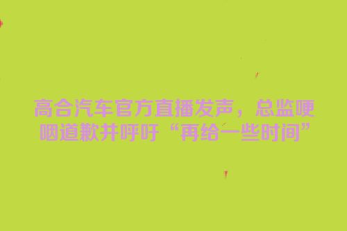 高合汽车官方直播发声，总监哽咽道歉并呼吁“再给一些时间”