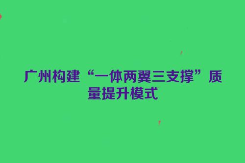 广州构建“一体两翼三支撑”质量提升模式