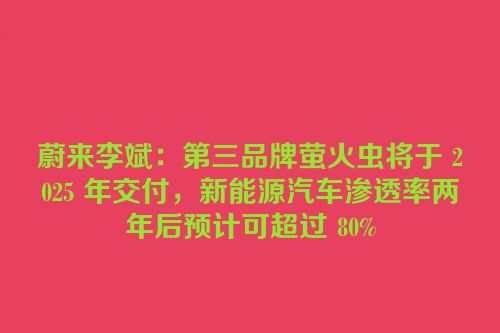 蔚来李斌：第三品牌萤火虫将于 2025 年交付，新能源汽车渗透率两年后预计可超过 80%