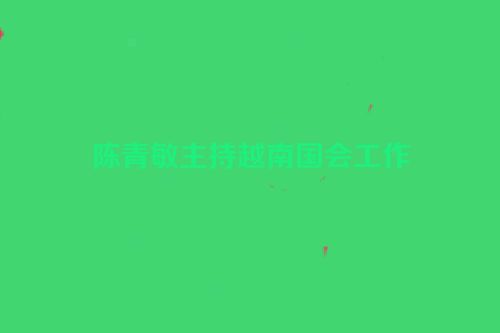 陈青敏主持越南国会工作