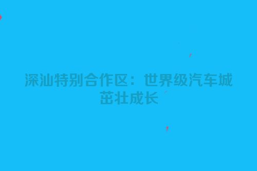 深汕特别合作区：世界级汽车城茁壮成长