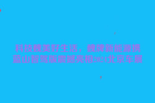 科技魏美好生活，魏牌新能源携蓝山智驾版震撼亮相2024北京车展