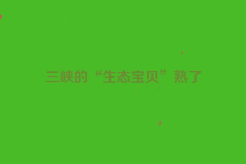 三峡的“生态宝贝”熟了