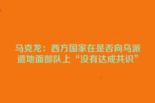 马克龙：西方国家在是否向乌派遣地面部队上“没有达成共识”