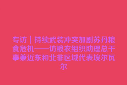 专访｜持续武装冲突加剧苏丹粮食危机——访粮农组织助理总干事兼近东和北非区域代表埃尔瓦尔