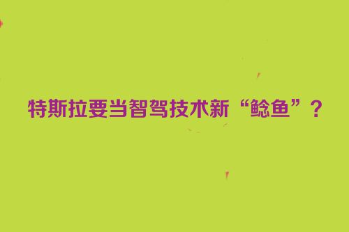 特斯拉要当智驾技术新“鲶鱼”？