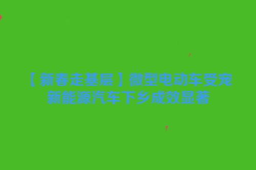 【新春走基层】微型电动车受宠 新能源汽车下乡成效显著