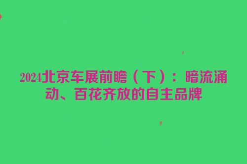 2024北京车展前瞻（下）：暗流涌动、百花齐放的自主品牌
