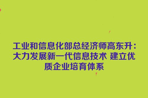工业和信息化部总经济师高东升：大力发展新一代信息技术 建立优质企业培育体系