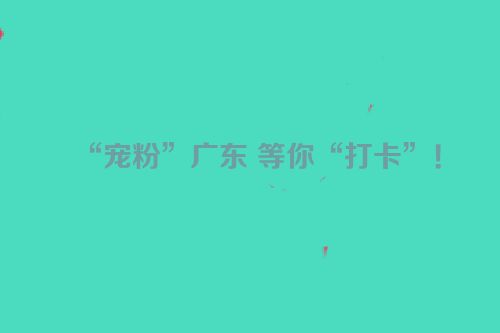 “宠粉”广东 等你“打卡”！