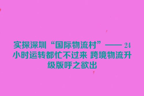 实探深圳“国际物流村”—— 24小时运转都忙不过来 跨境物流升级版呼之欲出