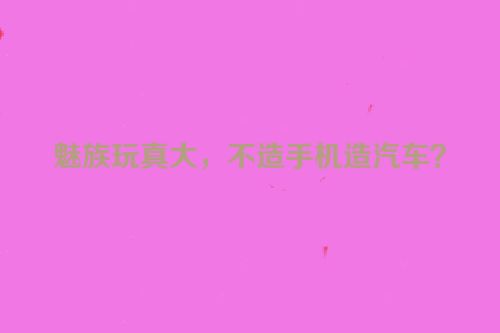 魅族玩真大，不造手机造汽车？