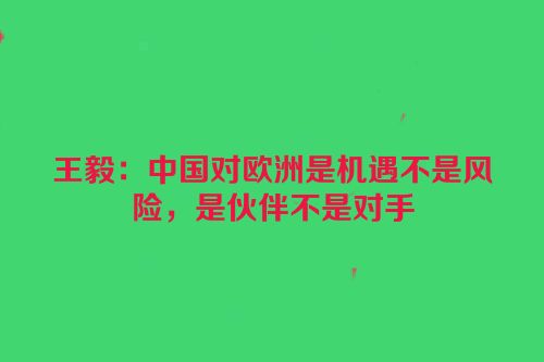 王毅：中国对欧洲是机遇不是风险，是伙伴不是对手