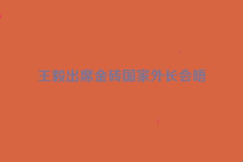 王毅出席金砖国家外长会晤