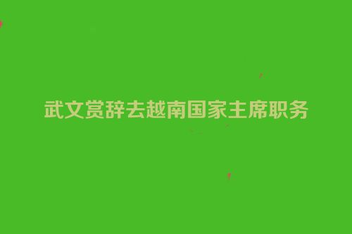 武文赏辞去越南国家主席职务