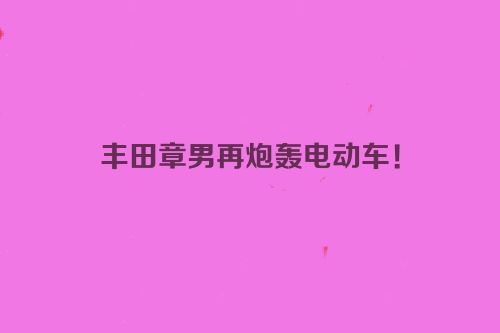 丰田章男再炮轰电动车！