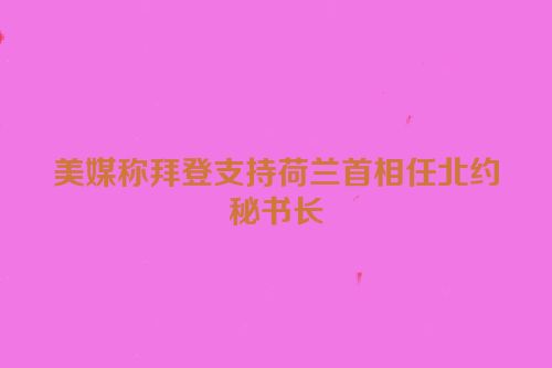 美媒称拜登支持荷兰首相任北约秘书长