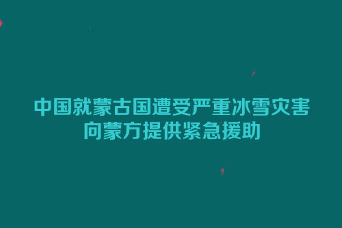 中国就蒙古国遭受严重冰雪灾害向蒙方提供紧急援助