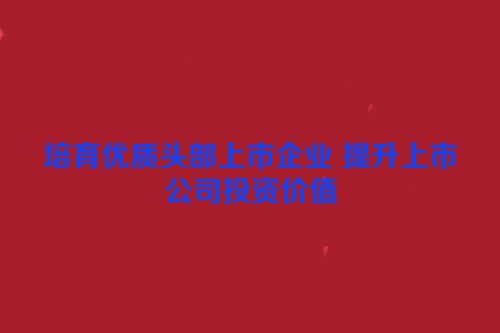 培育优质头部上市企业 提升上市公司投资价值