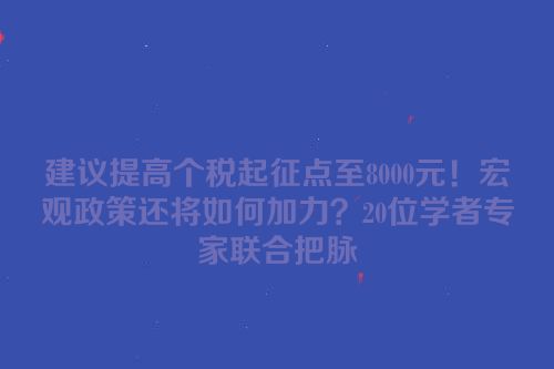 建议提高个税起征点至8000元！宏观政策还将如何加力？20位学者专家联合把脉