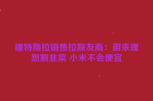 曝特斯拉销售拉踩友商：蔚来理想割韭菜 小米不会便宜