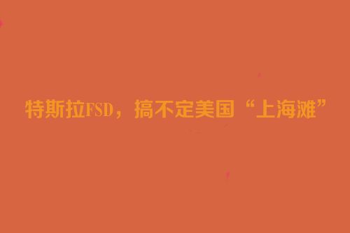 特斯拉FSD，搞不定美国“上海滩”