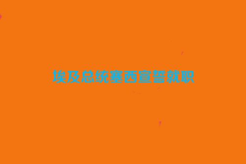 埃及总统塞西宣誓就职