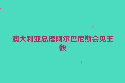 澳大利亚总理阿尔巴尼斯会见王毅