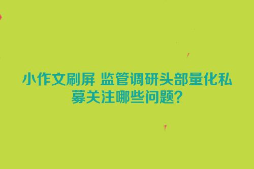 小作文刷屏 监管调研头部量化私募关注哪些问题？