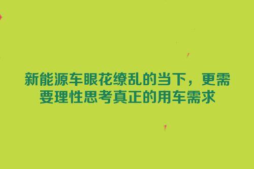 新能源车眼花缭乱的当下，更需要理性思考真正的用车需求