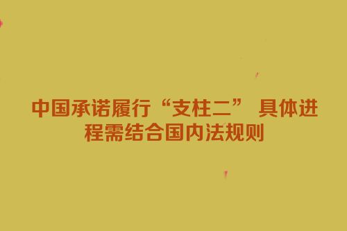 中国承诺履行“支柱二” 具体进程需结合国内法规则