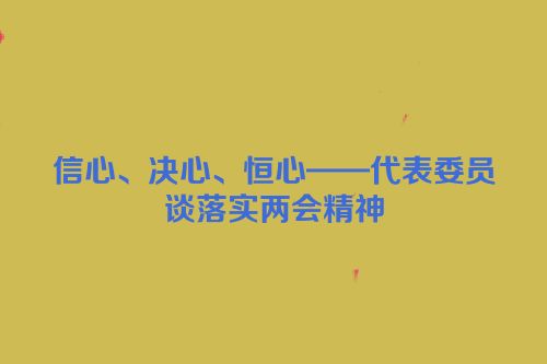 信心、决心、恒心——代表委员谈落实两会精神